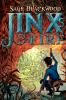 Book cover for "Jinx's fire".