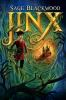 Book cover for "Jinx".