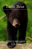 Book cover for "Little Bear".