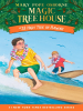 Book Cover for "High Tide in Hawaii"