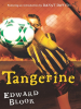 Book Cover for "Tangerine"
